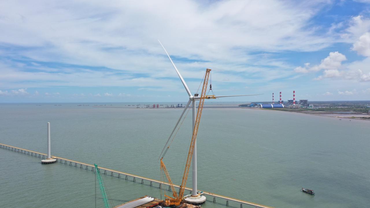 WhatsApp Image 2021-07-30 at 03.18.51